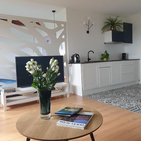 Apartament Panorama Jezow Sudecki Экстерьер фото