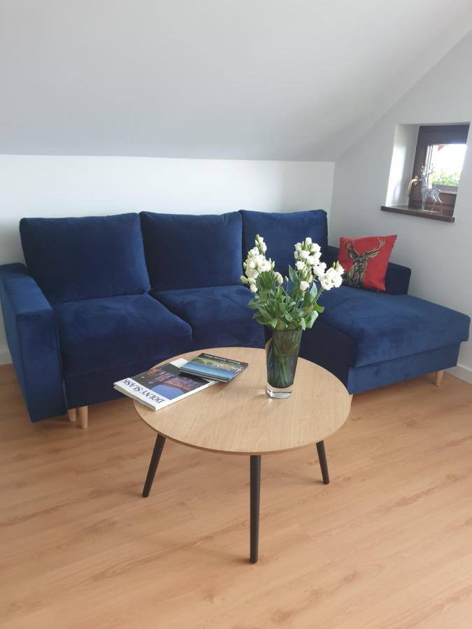 Apartament Panorama Jezow Sudecki Экстерьер фото